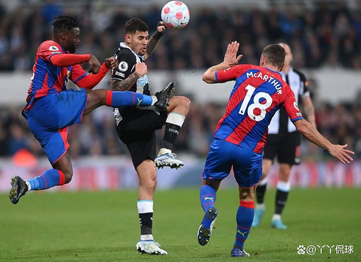 nba总决赛时间2024最新消息