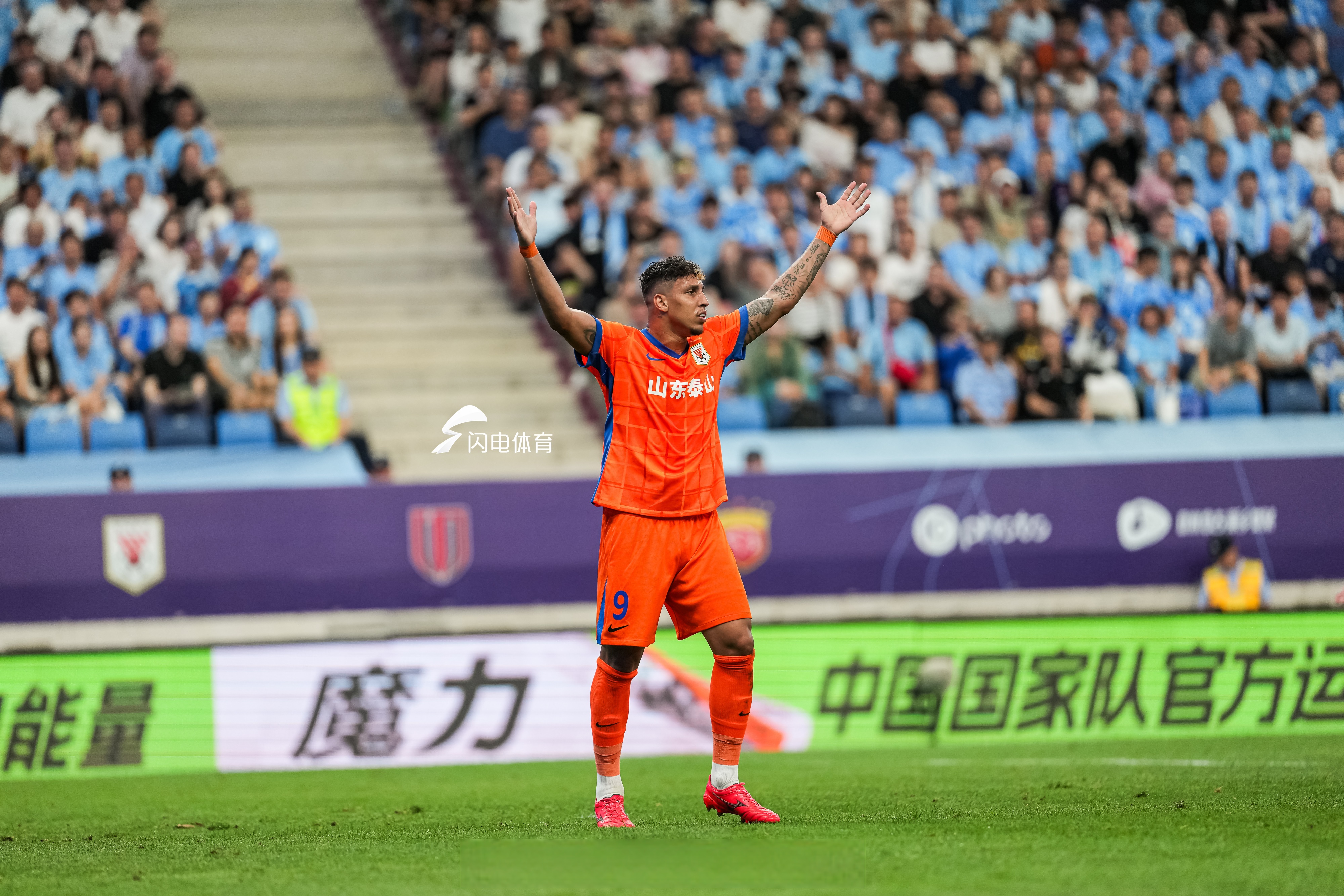 湛羽被老冯杀死为什么 湛羽被老冯杀死为什么