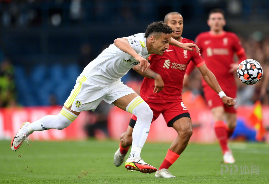 湛羽被老冯杀死为什么 湛羽被老冯杀死为什么